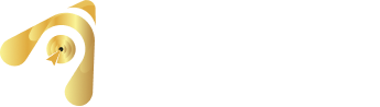 Designtoptrend Logo